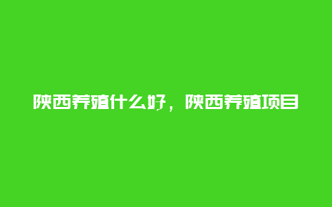 陕西养殖什么好，陕西养殖项目