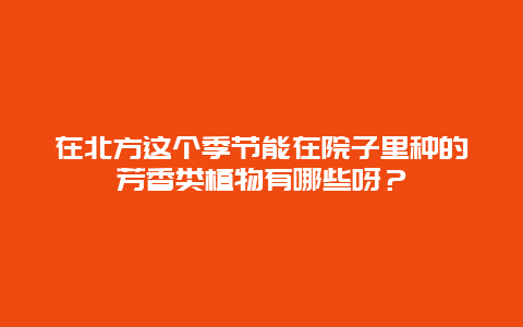 在北方这个季节能在院子里种的芳香类植物有哪些呀？