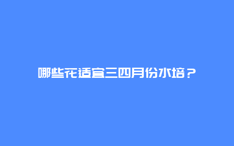 哪些花适宜三四月份水培？