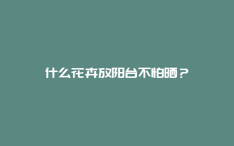 什么花卉放阳台不怕晒？