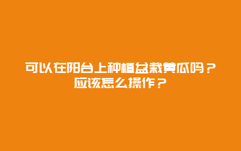 可以在阳台上种植盆栽黄瓜吗？应该怎么操作？