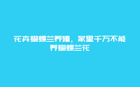 花卉蝴蝶兰养殖，家里千万不能养蝴蝶兰花