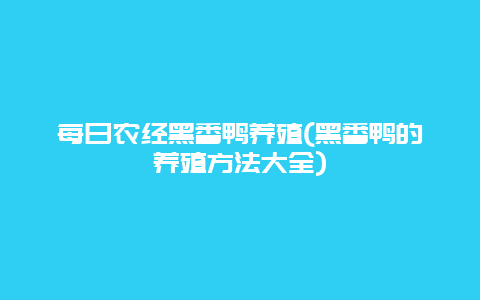 每日农经黑番鸭养殖(黑番鸭的养殖方法大全)