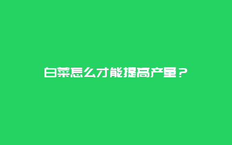 白菜怎么才能提高产量？