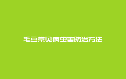 毛豆常见病虫害防治方法