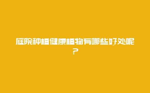 庭院种植健康植物有哪些好处呢？