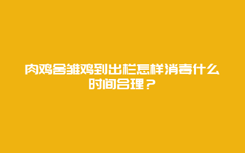 肉鸡舍雏鸡到出栏怎样消毒什么时间合理？