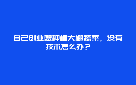 自己创业想种植大棚蔬菜，没有技术怎么办？