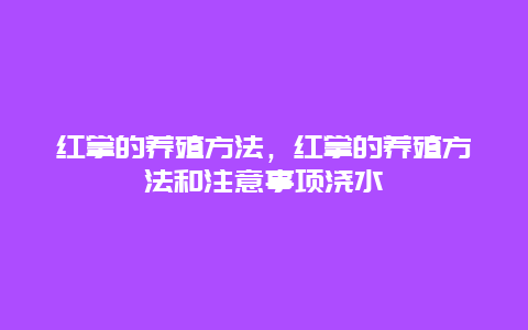 红掌的养殖方法，红掌的养殖方法和注意事项浇水