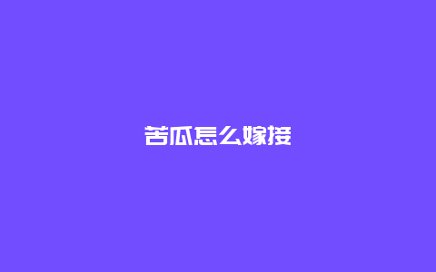 苦瓜怎么嫁接