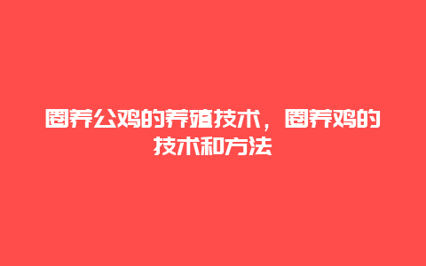 圈养公鸡的养殖技术，圈养鸡的技术和方法