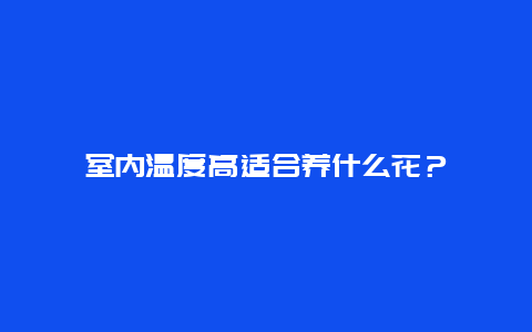 室内温度高适合养什么花？