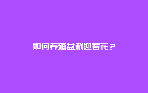 如何养殖盆栽迎春花？