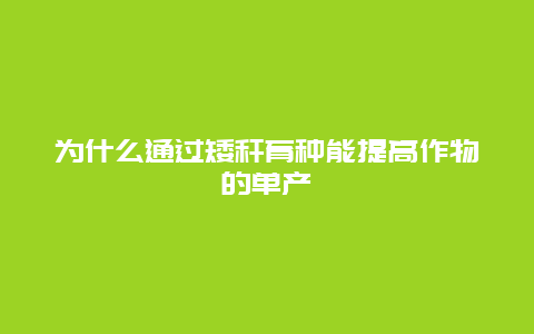 为什么通过矮秆育种能提高作物的单产