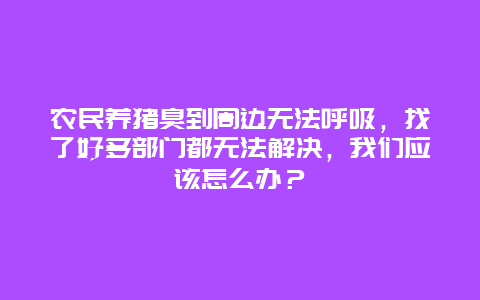 农民养猪臭到周边无法呼吸，找了好多部门都无法解决，我们应该怎么办？