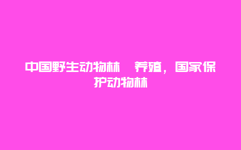 中国野生动物林麝养殖，国家保护动物林麝