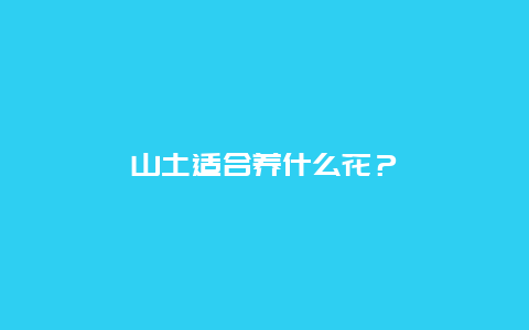 山土适合养什么花？