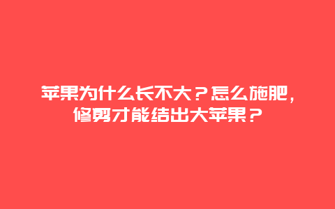 苹果为什么长不大？怎么施肥，修剪才能结出大苹果？