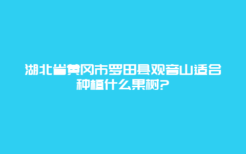 湖北省黄冈市罗田县观音山适合种植什么果树?