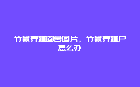 竹鼠养殖圈舍图片，竹鼠养殖户怎么办