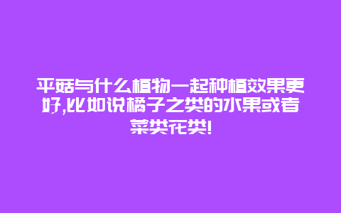 平菇与什么植物一起种植效果更好,比如说橘子之类的水果或者菜类花类!