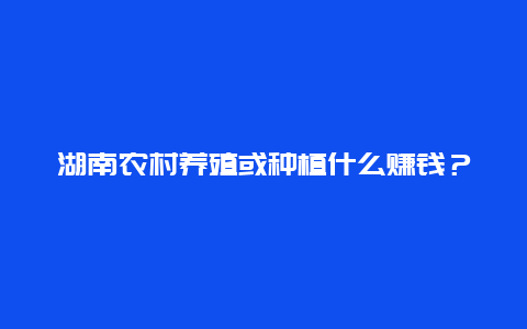 湖南农村养殖或种植什么赚钱？