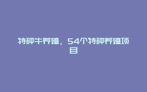 特种牛养殖，54个特种养殖项目