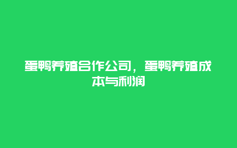 蛋鸭养殖合作公司，蛋鸭养殖成本与利润