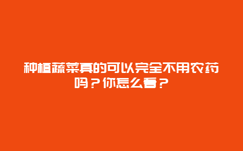 种植蔬菜真的可以完全不用农药吗？你怎么看？