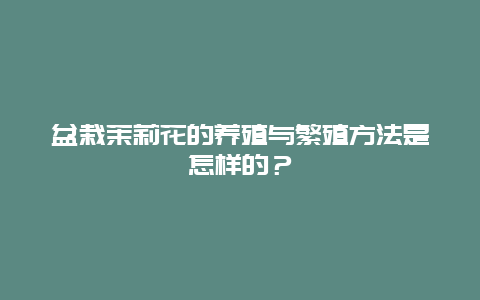 盆栽茉莉花的养殖与繁殖方法是怎样的？