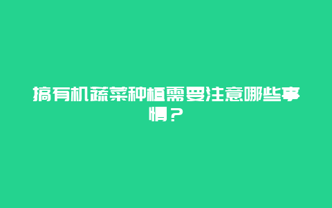 搞有机蔬菜种植需要注意哪些事情？