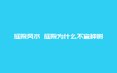 庭院风水 庭院为什么不宜种树