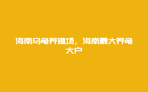 海南乌龟养殖场，海南最大养龟大户