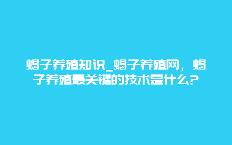 蝎子养殖知识_蝎子养殖网，蝎子养殖最关键的技术是什么?