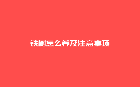 铁树怎么养及注意事项