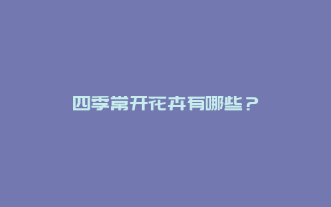 四季常开花卉有哪些？