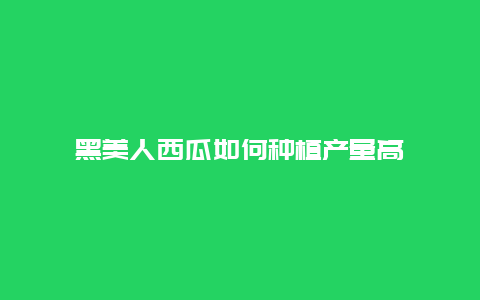 黑美人西瓜如何种植产量高