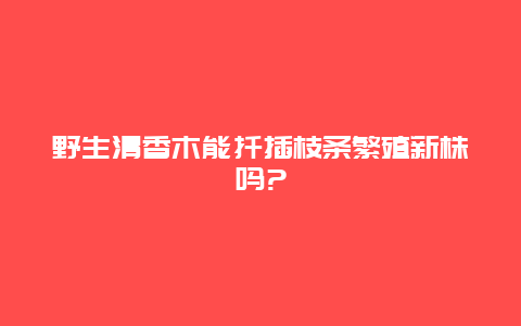 野生清香木能扦插枝条繁殖新株吗?