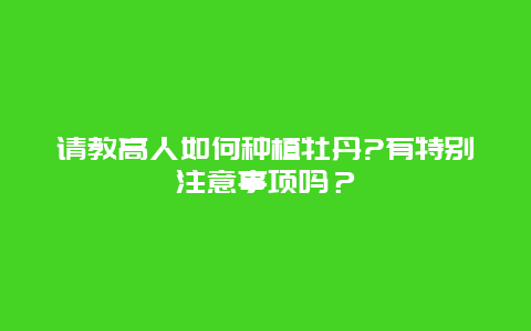 请教高人如何种植牡丹?有特别注意事项吗？_http://www.zhongzhihu.com_农业百科_第1张