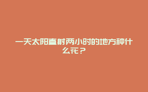 一天太阳直射两小时的地方种什么花？