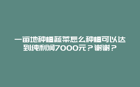 一亩地种植蔬菜怎么种植可以达到纯利润7000元？谢谢？