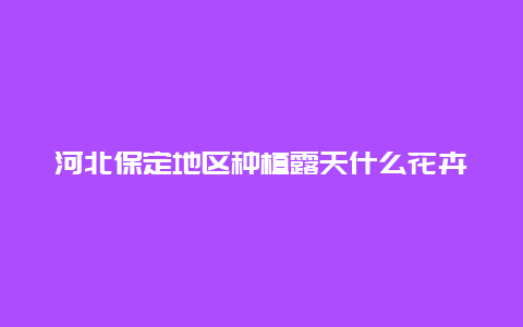 河北保定地区种植露天什么花卉