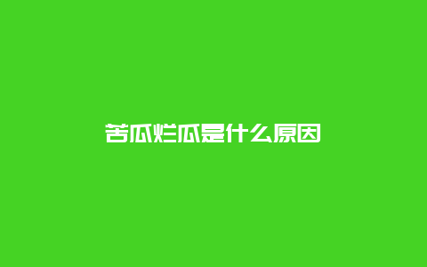 苦瓜烂瓜是什么原因