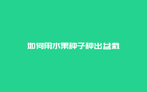 如何用水果种子种出盆栽