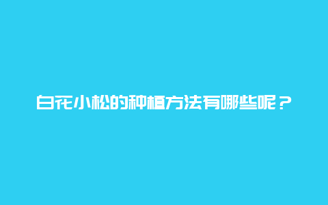 白花小松的种植方法有哪些呢？