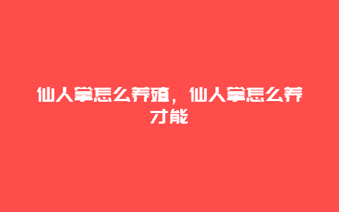 仙人掌怎么养殖，仙人掌怎么养才能