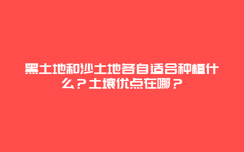 黑土地和沙土地各自适合种植什么？土壤优点在哪？