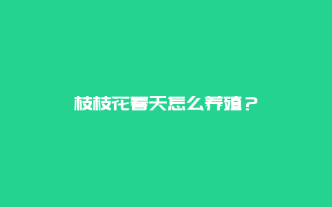 枝枝花春天怎么养殖？