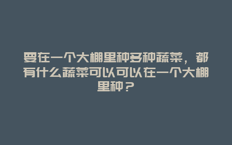 要在一个大棚里种多种蔬菜，都有什么蔬菜可以可以在一个大棚里种？