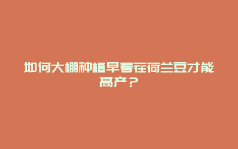 如何大棚种植早春茬荷兰豆才能高产？